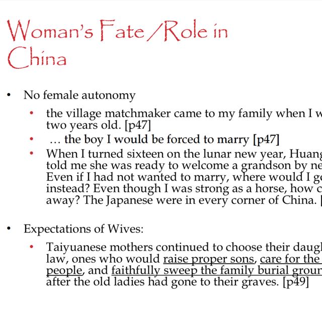 O level Literature Notes for The Joy Luck Club (soft copy) - Image 3